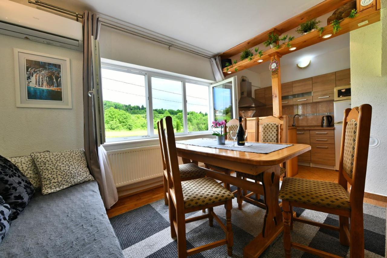 Apartment Marija Zupan Rakovica Kültér fotó